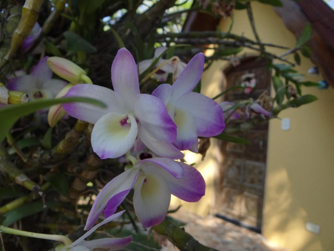 Chale Rancho Aratama Bed & Breakfast Jacarei Exterior photo
